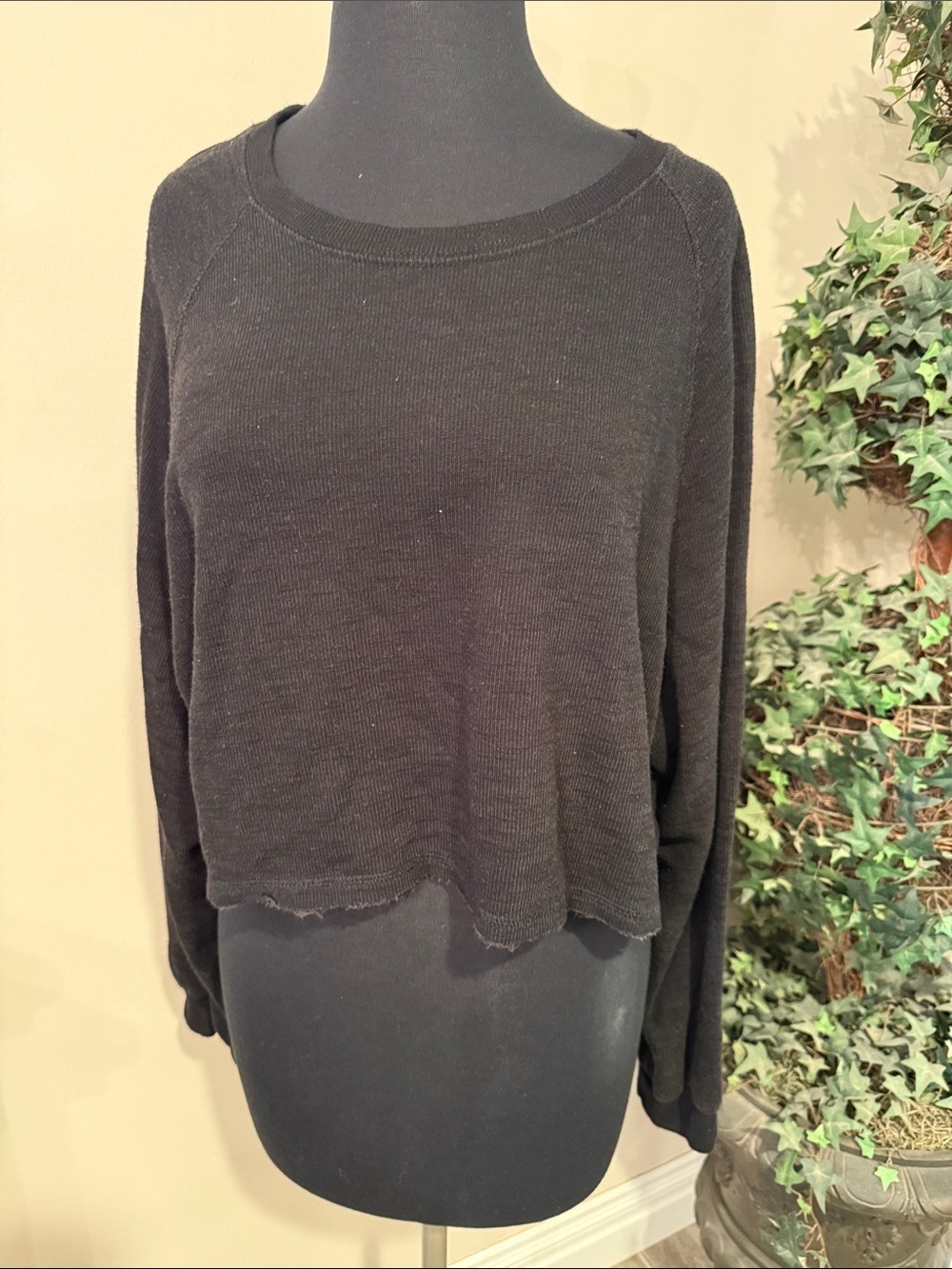 Black Cropped Lightweight Knit Sweater by Lavish Size Medium